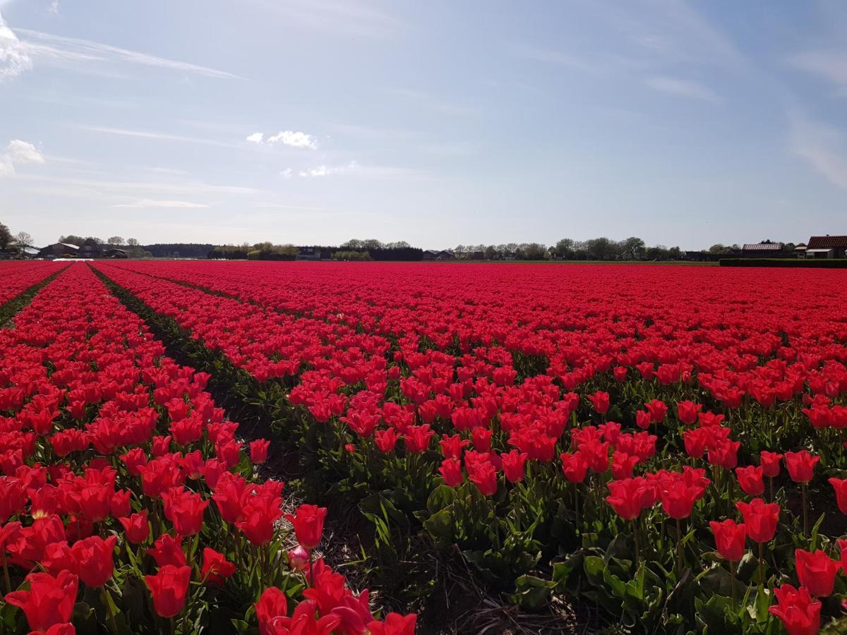Kust-, Fiets-, Wandel-, Rust- & Cultuurlocatie Villa Castricum Eksteriør bilde